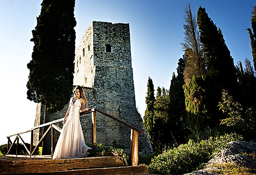 This shot showing the castle and the bridge over the pool