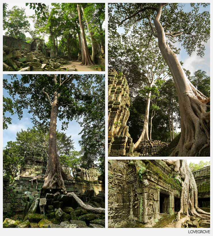 10. Ta Prohm or Angelina's temple as it is now know is the most dramatic.